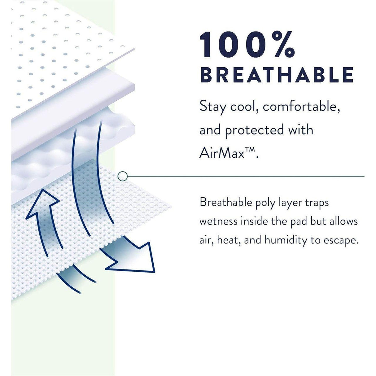 PREVAIL OVERNIGHT UNDERWEAR 16PK - #shop_name