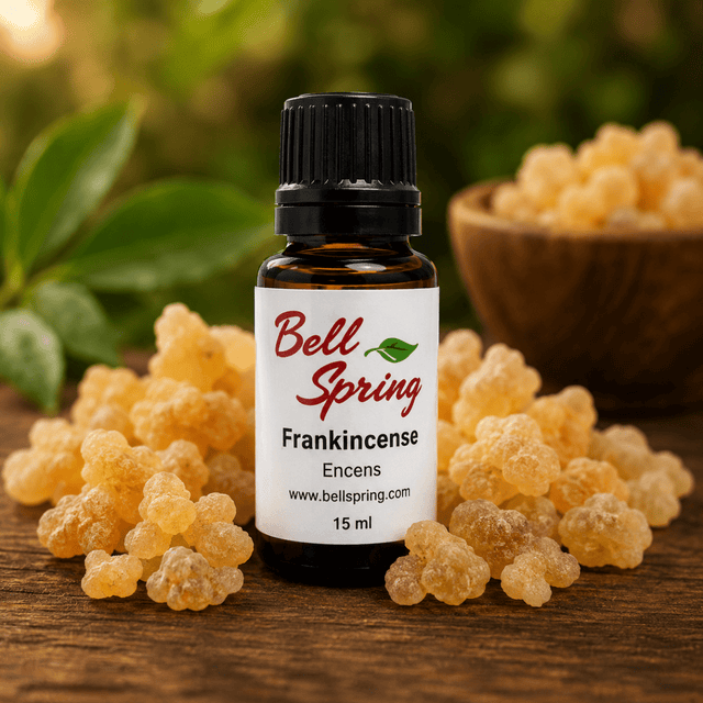 A small amber glass bottle of Bell Spring Frankincense with a black cap and white label, surrounded by loose yellow-orange frankincense buds on a wooden surface with a blurred green background. - okotoks hc pharmacy