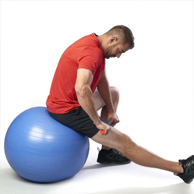 SANCTBAND GYM BALL BLUEBERRY 75CM