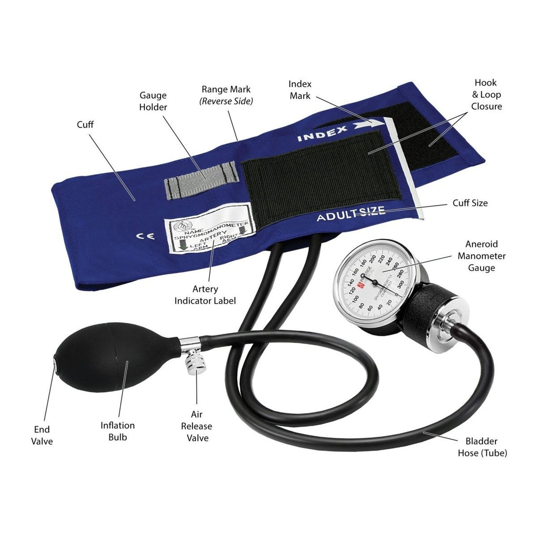 An illustration of an adult-sized blood pressure cuff with labeled parts on a white background. - okotoks hc pharmacy