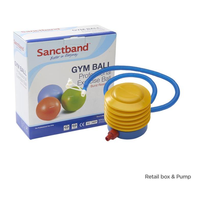 SANCTBAND GYM BALL BLUEBERRY 75CM