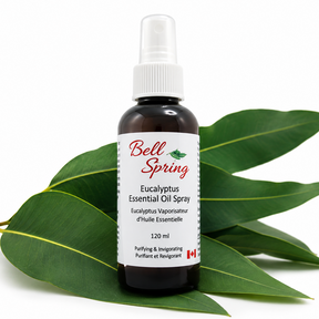 Bell Spring Eucalyptus Essential Oil Spray in a 120 ml amber glass bottle with a white spray cap, displayed on green eucalyptus leaves against a white background. - okotoks hc pharmacy