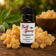 A small amber glass bottle of Bell Spring Frankincense with a black cap and white label, surrounded by loose yellow-orange frankincense buds on a wooden surface with a blurred green background. - okotoks hc pharmacy
