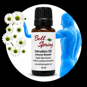 A 15 ml amber glass bottle of Bell Spring Intruders Oil Immune Booster with a black cap, shown inside a circular graphic with white daisies, green virus illustrations, and a blue human silhouette. - okotoks hc pharmacy