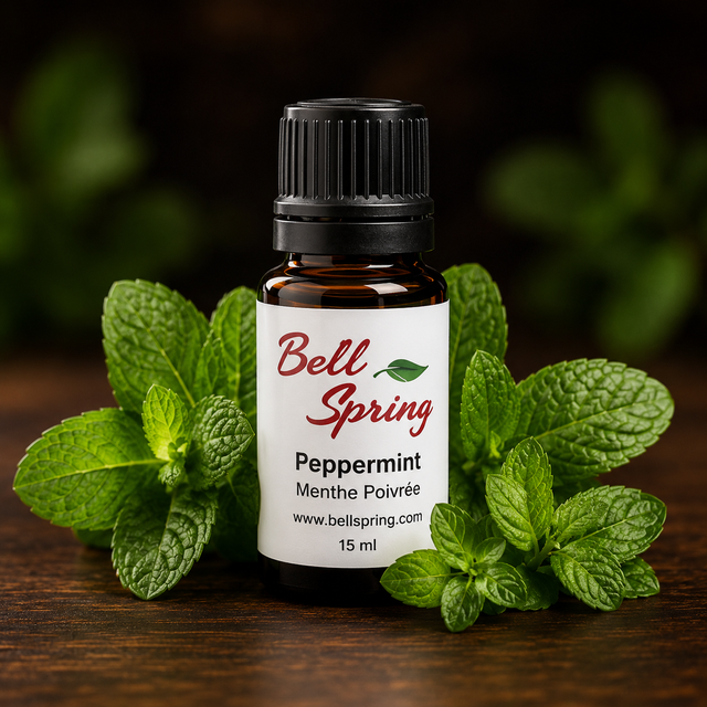 A 15 ml bottle of Bell Spring Peppermint Menthe Poivrée essential oil, styled with fresh green peppermint leaves on a dark wooden surface against a dark, blurred background. - okotoks hc pharmacy