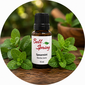 A 15 ml bottle of Bell Spring Spearmint Menthe Verte essential oil, styled on a rustic wooden surface with fresh green mint leaves and a blurred background of a mortar and pestle. - okotoks hc pharmacy