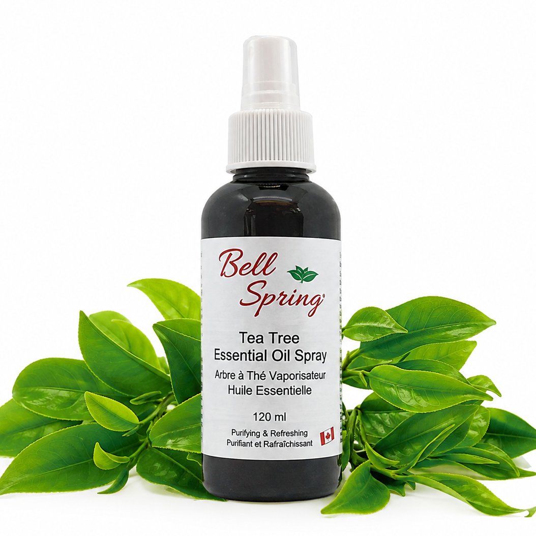 Bell Spring Tea Tree Essential Oil Spray in a 120 ml dark amber bottle with a white spray cap, styled with fresh green tea tree leaves on a white background. - okotoks hc pharmacy