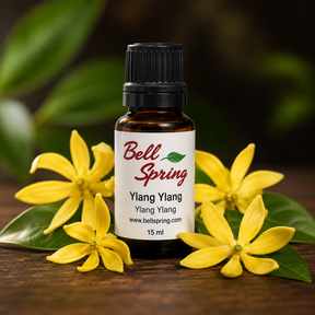 A 15 ml bottle of Bell Spring Ylang Ylang essential oil, styled on a dark wooden surface with fresh yellow flowers and green leaves against a dark, blurred background. - okotoks hc pharmacy