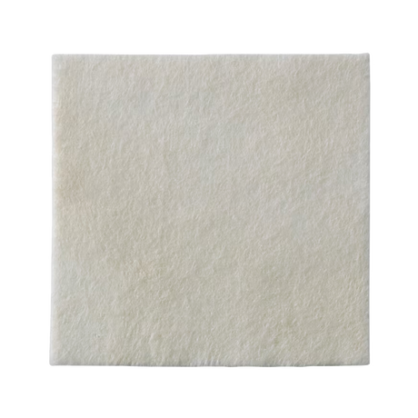 Coloplast Biatain® Alginate Ag Dressing - okotoks hc pharmacy