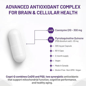 Cogni-Q supplement capsule with detailed information on ingredients and benefits on a white background - okotoks hc pharmacy