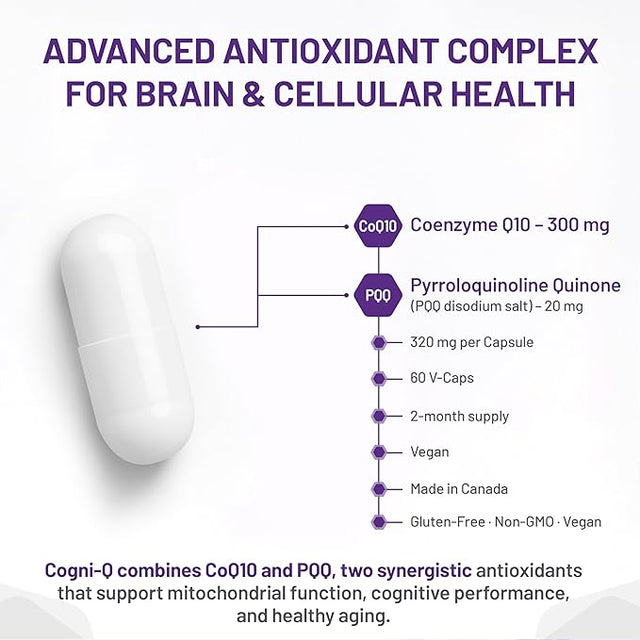 Cogni-Q supplement capsule with detailed information on ingredients and benefits on a white background - okotoks hc pharmacy