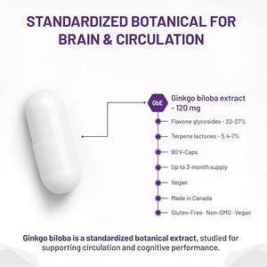 Ginkgo biloba extract capsule with detailed information on a white background - okotoks hc pharmacy