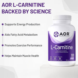 AOR L-Carnitine supplement bottle with benefits listed on a white background - okotoks hc pharmacy