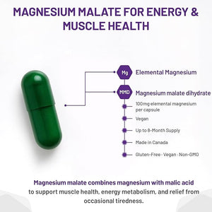 Green capsule with text about magnesium malate for energy and muscle health on a white background - okotoks hc pharmacy