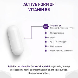 Vitamin B6 capsule with text detailing its properties and benefits on a white background - okotoks hc pharmacy