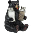 Bear figurine holding salt and pepper shakers on a white background - okotoks hc pharmacy