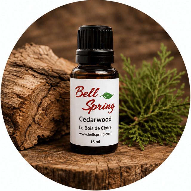Bell Spring Cedarwood essential oil in a 15 ml amber glass bottle with a black cap and white label, styled on a rustic wood slice with a green cedar branch. - okotoks hc pharmacy
