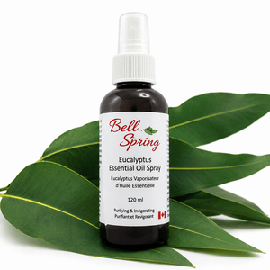 Bell Spring Eucalyptus Essential Oil Spray in a 120 ml amber glass bottle with a white spray cap, displayed on green eucalyptus leaves against a white background. - okotoks hc pharmacy