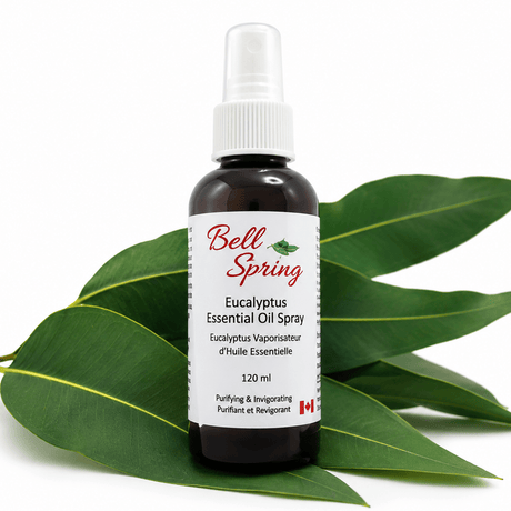 Bell Spring Eucalyptus Essential Oil Spray in a 120 ml amber glass bottle with a white spray cap, displayed on green eucalyptus leaves against a white background. - okotoks hc pharmacy
