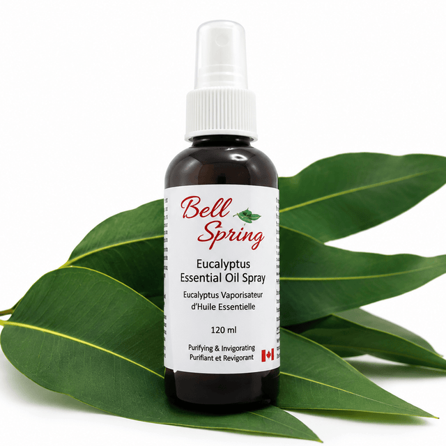 Bell Spring Eucalyptus Essential Oil Spray in a 120 ml amber glass bottle with a white spray cap, displayed on green eucalyptus leaves against a white background. - okotoks hc pharmacy