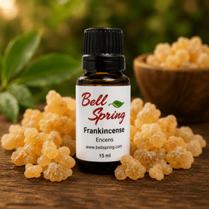 A small amber glass bottle of Bell Spring Frankincense with a black cap and white label, surrounded by loose yellow-orange frankincense buds on a wooden surface with a blurred green background. - okotoks hc pharmacy