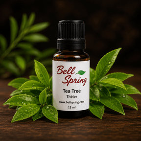 A 15 ml bottle of Bell Spring Tea Tree essential oil, styled with fresh green tea tree leaves on a dark wooden surface against a dark background. - okotoks hc pharmacy