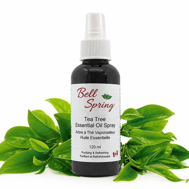 Bell Spring Tea Tree Essential Oil Spray in a 120 ml dark amber bottle with a white spray cap, styled with fresh green tea tree leaves on a white background. - okotoks hc pharmacy