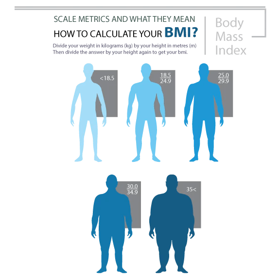 Diagram showing BMI categories with blue silhouette illustrations and text explaining BMI calculation. - okotoks hc pharmacy