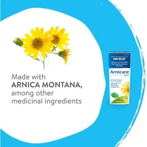 Arnicare Gel packaging with Arnica Montana flowers on a blue and white background - okotoks hc pharmacy