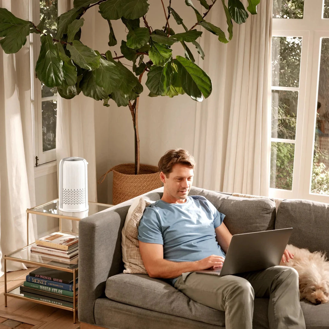 Man using a laptop on a couch in a bright living room with a plant and books. - okotoks hc pharmacy