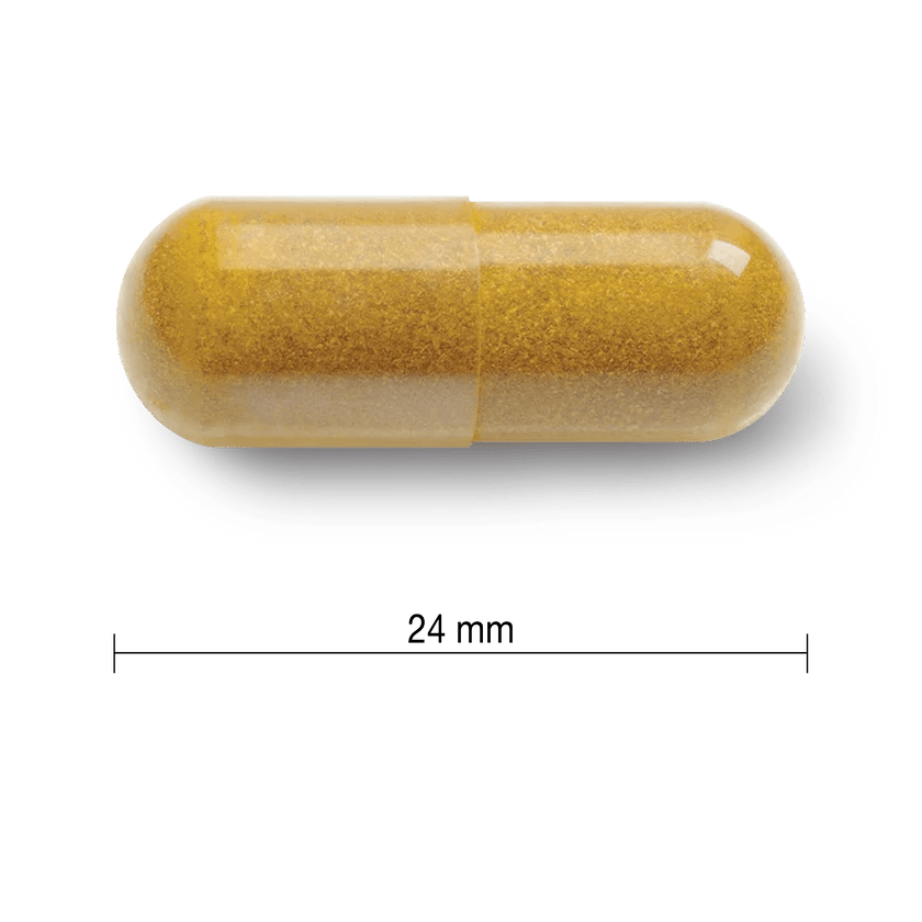 Yellow and white capsule with dimensions on a white background - okotoks hc pharmacy