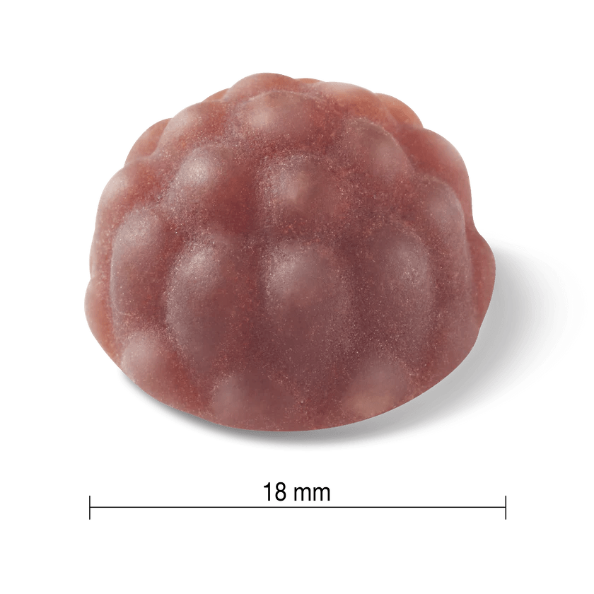 Jamieson Vitamin C+ Elderberry Immune Shield Gummies 60 - Okotoks HC Pharmacy