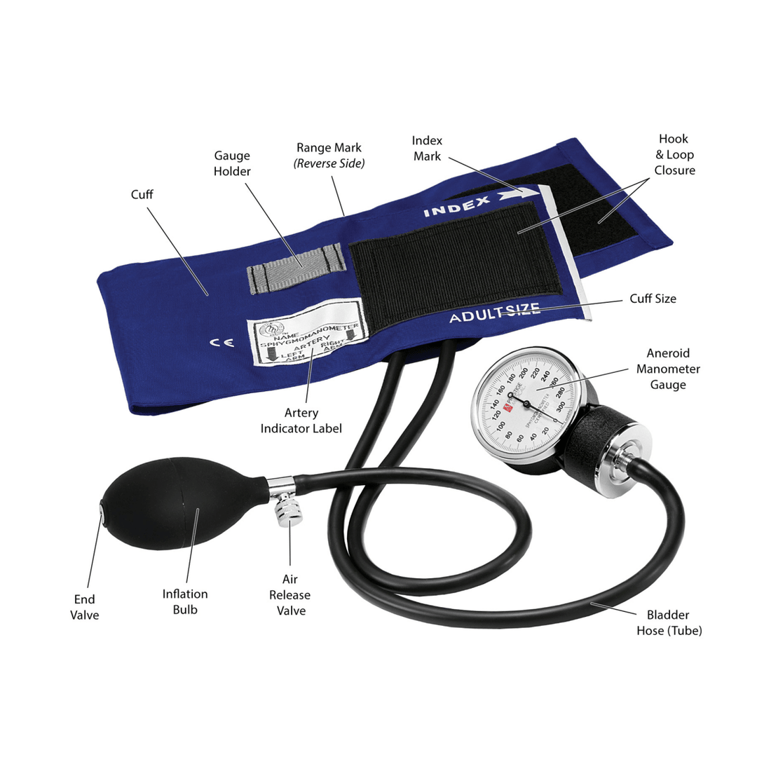 Anatomical diagram of a sphygmomanometer with labeled parts on a white background - okotoks hc pharmacy