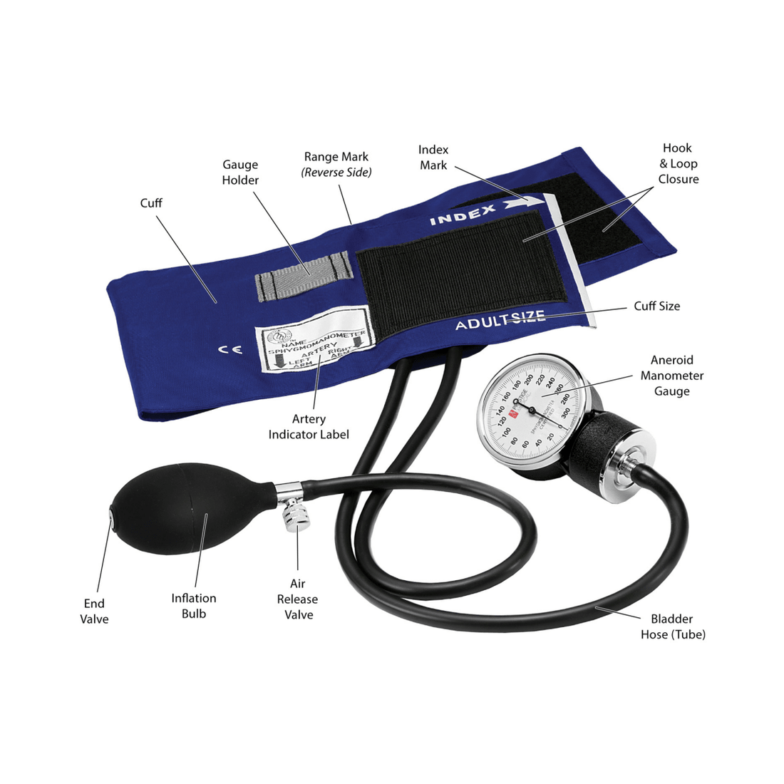 Anatomical diagram of a blood pressure cuff with labeled parts on a white background - okotoks hc pharmacy