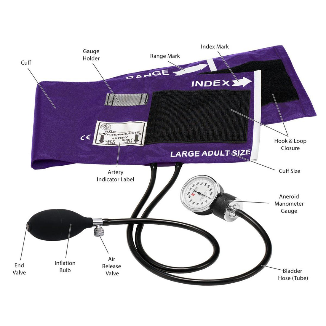 Anatomical diagram of a blood pressure cuff with labeled parts on a white background - okotoks hc pharmacy