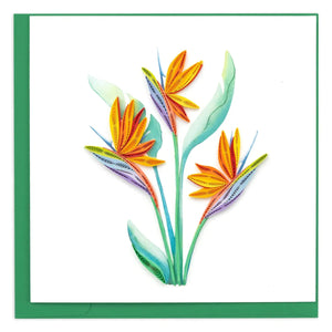 Colorful floral design with a green border on a white background - okotoks hc pharmacy