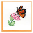 Butterfly and flower illustration on a white background with an orange border - okotoks hc pharmacy