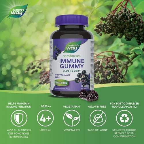 Nature's Way Sambucus Immune Gummy Elderberry supplement bottle with elderberry branches on a green background - okotoks hc pharmacy